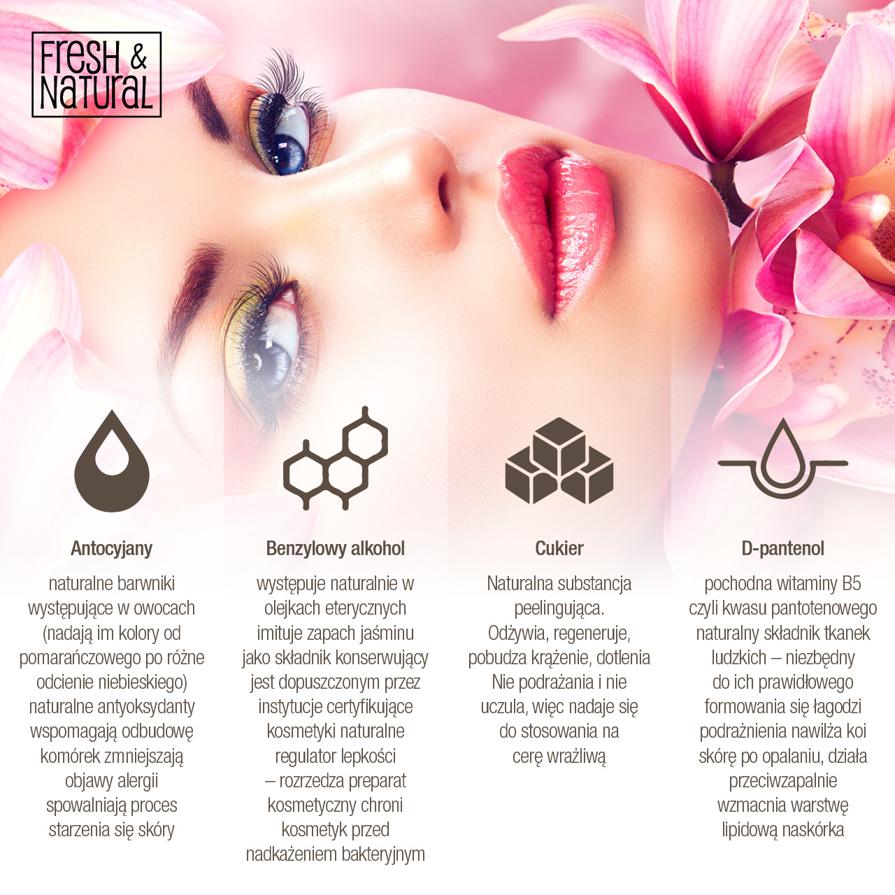 Fresh & Natural - Infografika