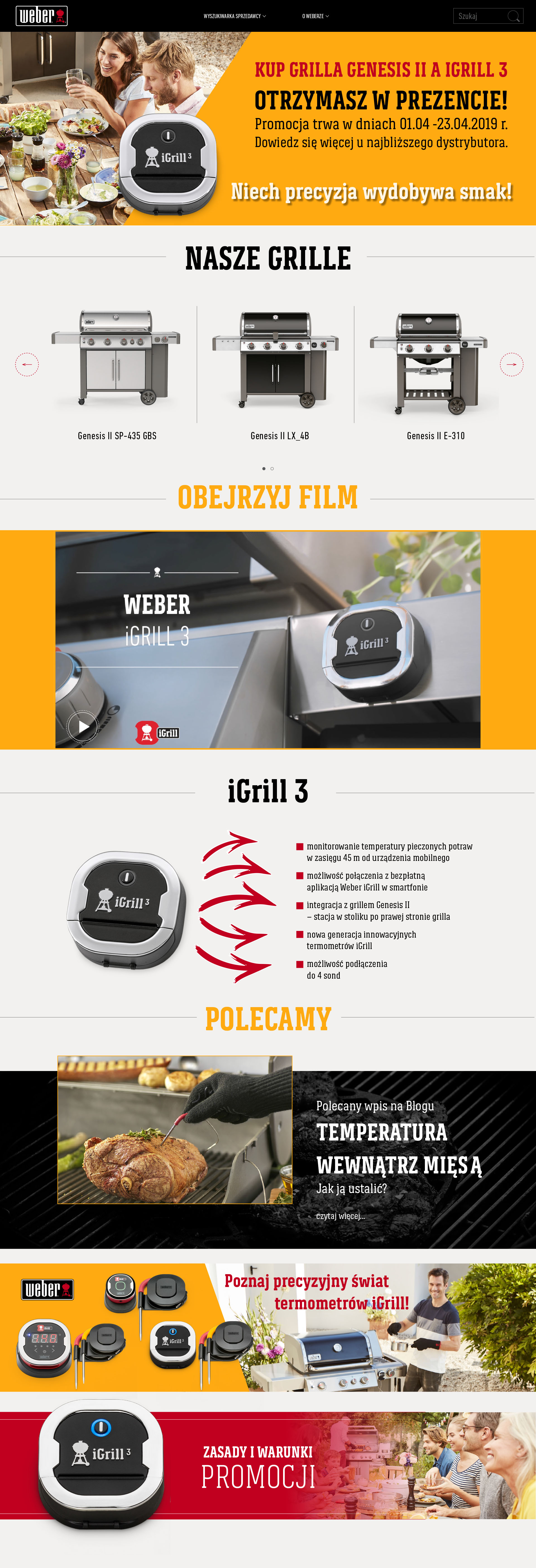 Weber - Strona Internetowa